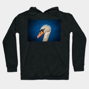 Swan portrait Hoodie